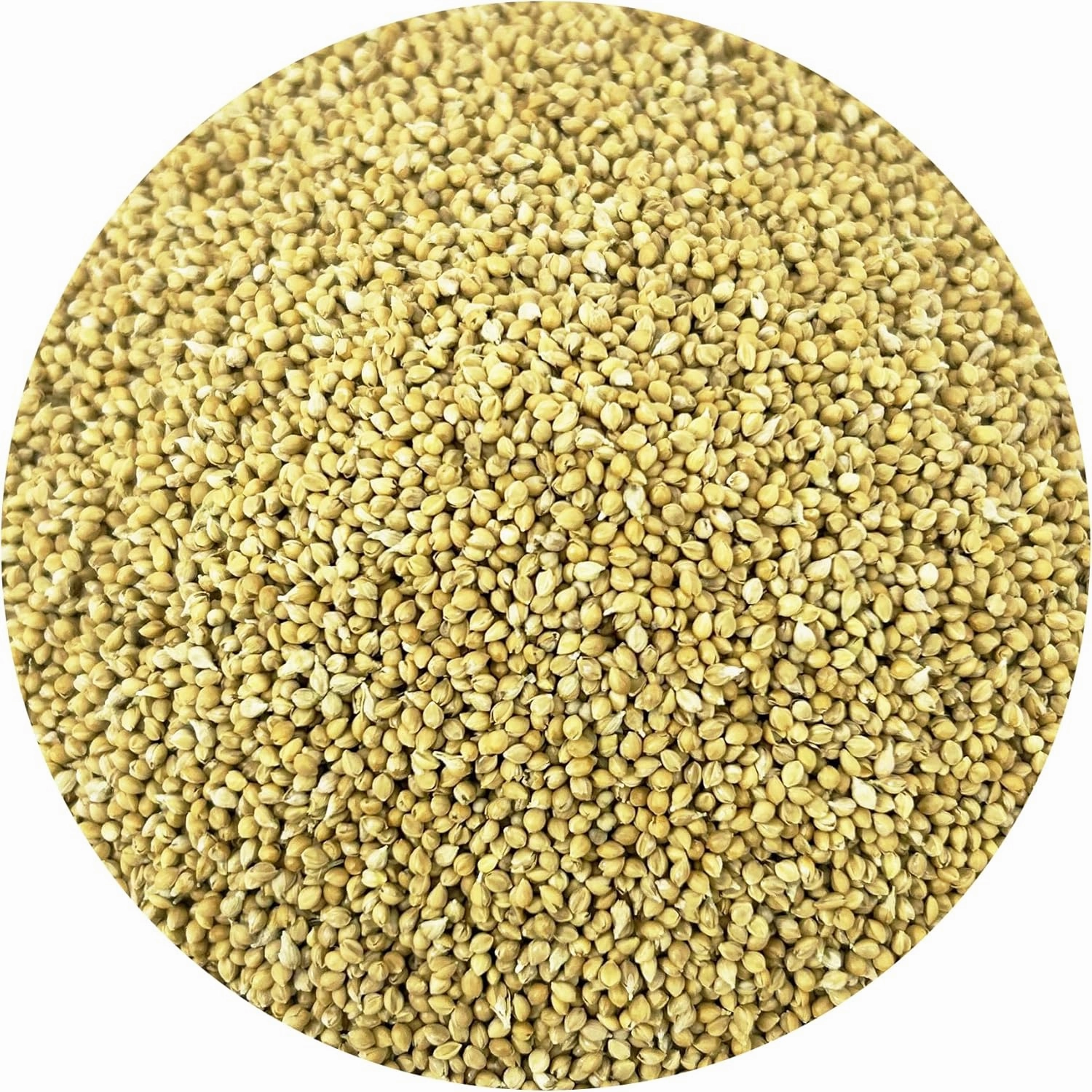 Pacific Organic Petfood Organic Feed Millet - Millet Bird Seed | Rich with Fiber & Minerals | USDA and CCOF Certified | Packed in USA - 2Lbs