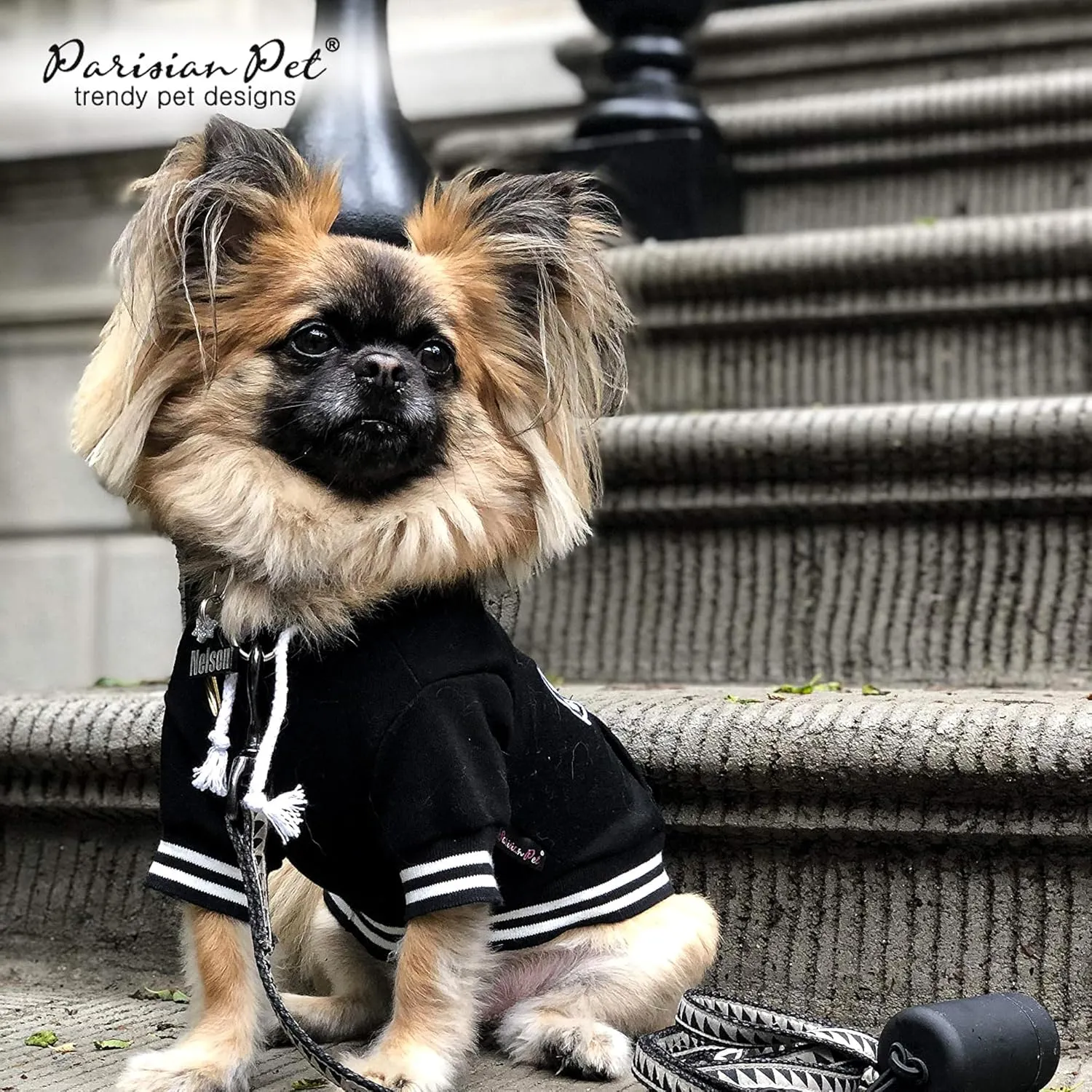 Parisian Pet Basic Dog Hoodie – Lightweight Printed “Bestie“ Dog Sweatshirt – Pullover Hoodies for Dogs with Leash Hole and Pockets – Cotton, Polyester Dog Clothes for Large Dogs - XL