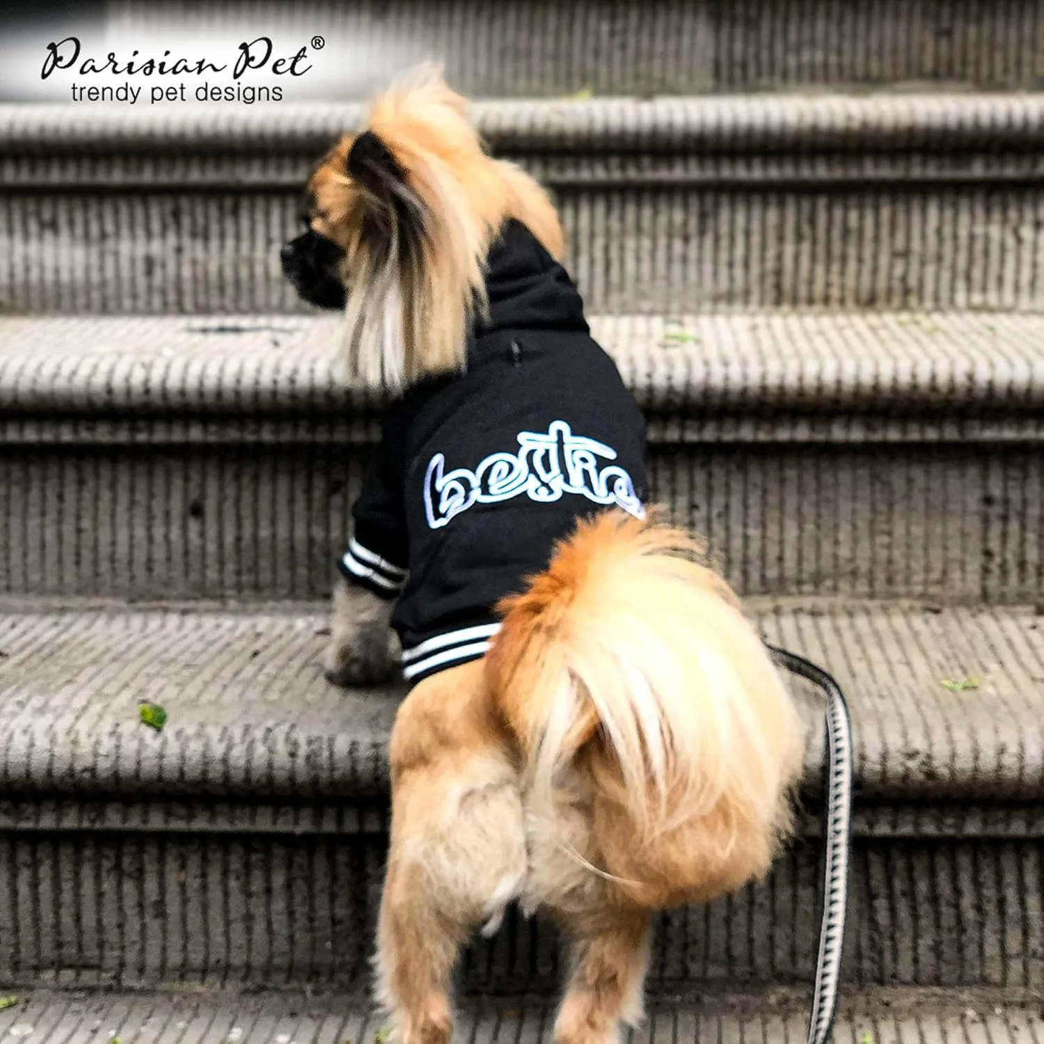 Parisian Pet Basic Dog Hoodie – Lightweight Printed “Bestie“ Dog Sweatshirt – Pullover Hoodies for Dogs with Leash Hole and Pockets – Cotton, Polyester Dog Clothes for Large Dogs - XL