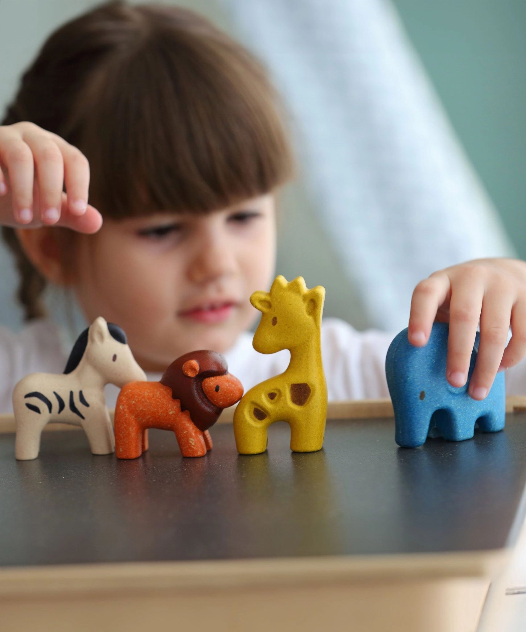 PlanToys Wild Animals Set