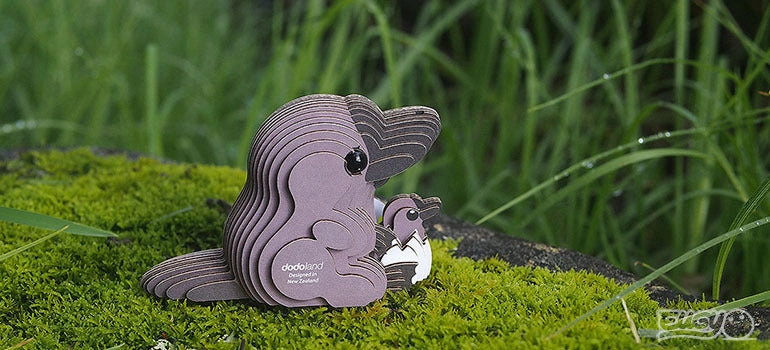 Platypus 3D Model Kit