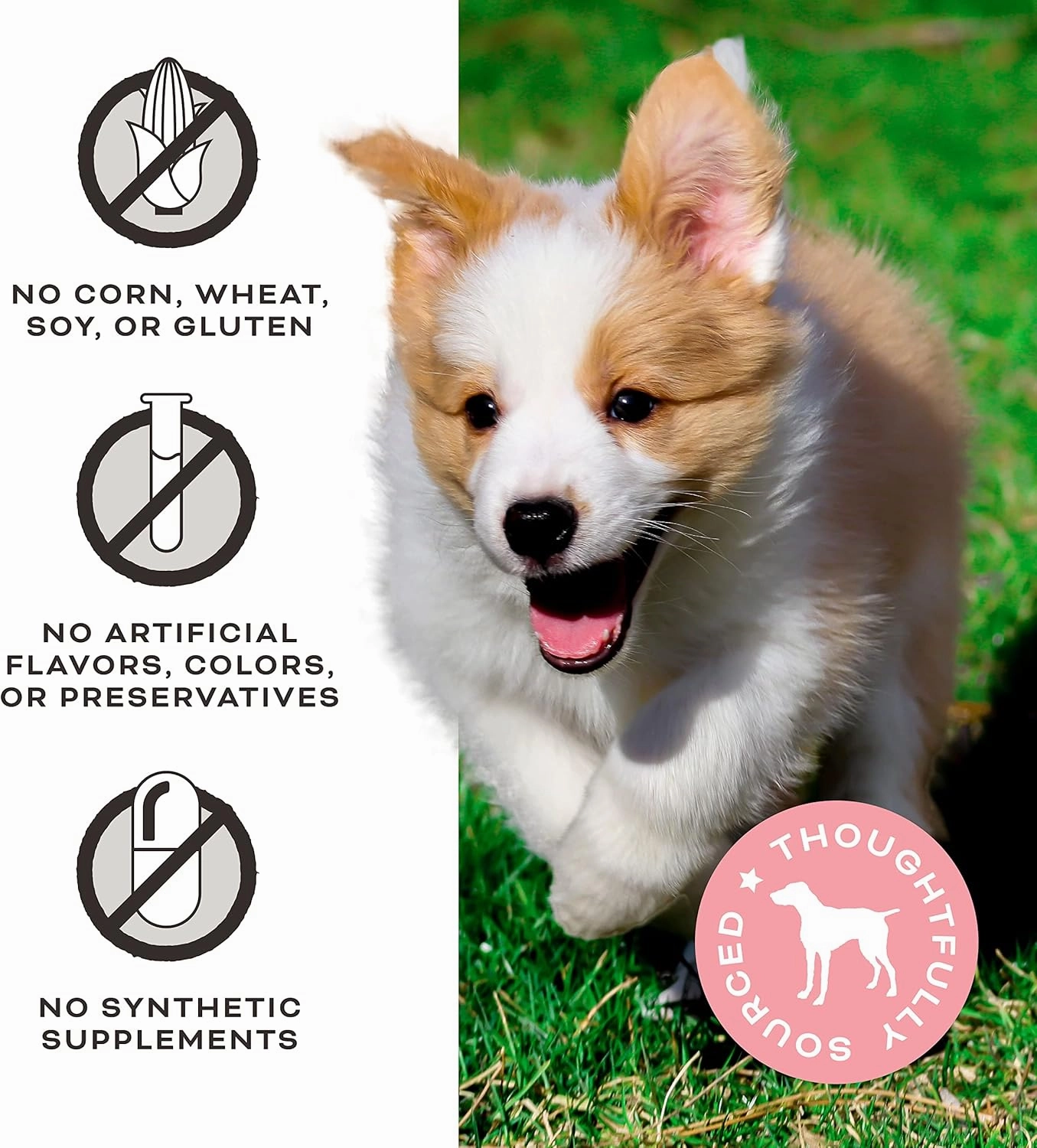 Primal Freeze Dried Dog Treats, Peelin' Fantastic; Chicken & Banana with Goat Milk, Grain Free Training Treats for Dogs with Probiotics, 2 oz (Pack of 2)