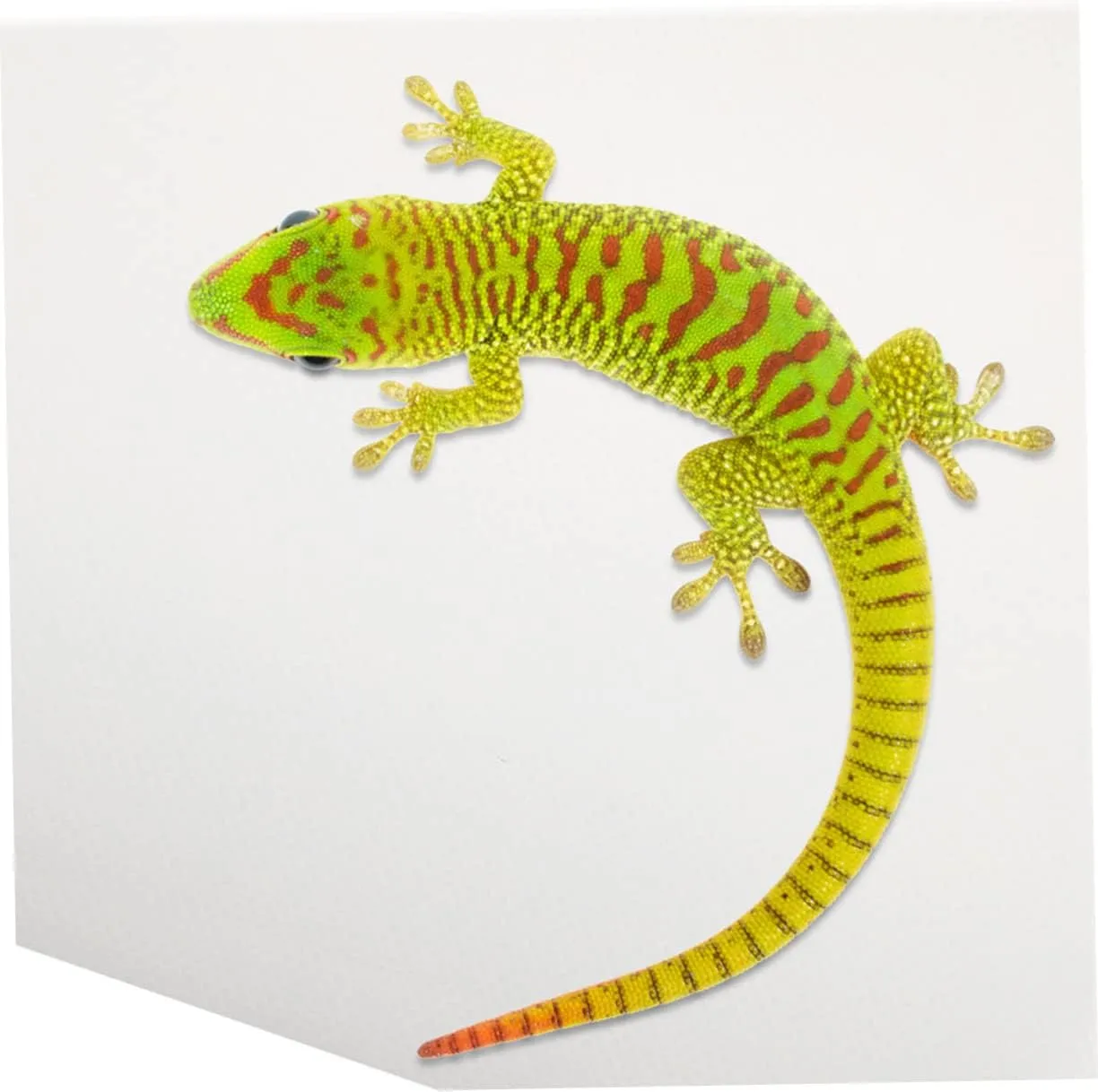 Reptile Carpet Mat Tortoise Bedding for Bearded Dragon Lizard Snake Terrarium Liner Easy Clean Reptile Tank Accessories