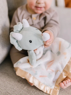 Roarsome Security Blanket