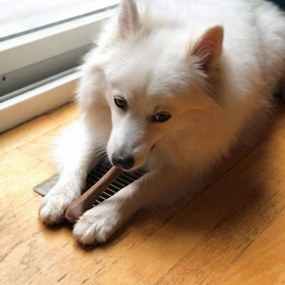 Rynx | Pet Products Dog Toy Dog Bone Toy Beef/Bacon Scented Pet Chew Toy New Toys for Dogs Pet Dog Interactive Toy Dog Dog Accessories