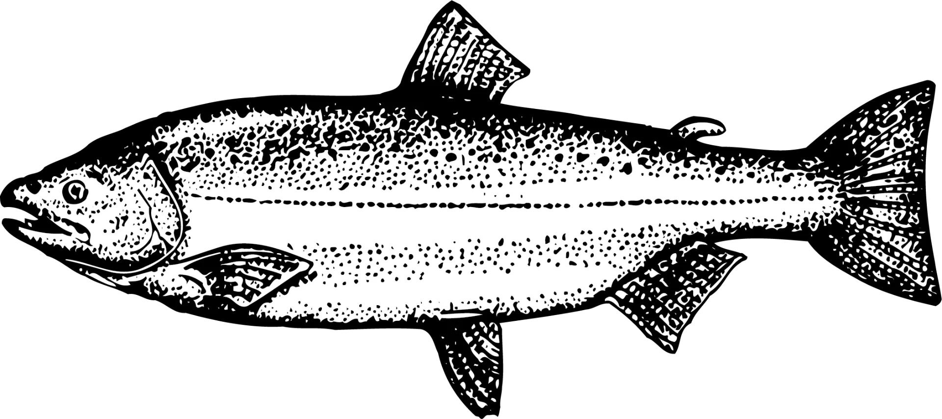 Simple Screen™ Pre-burned Lake Fish Reverse Design for Screen Printing & Powder Printing