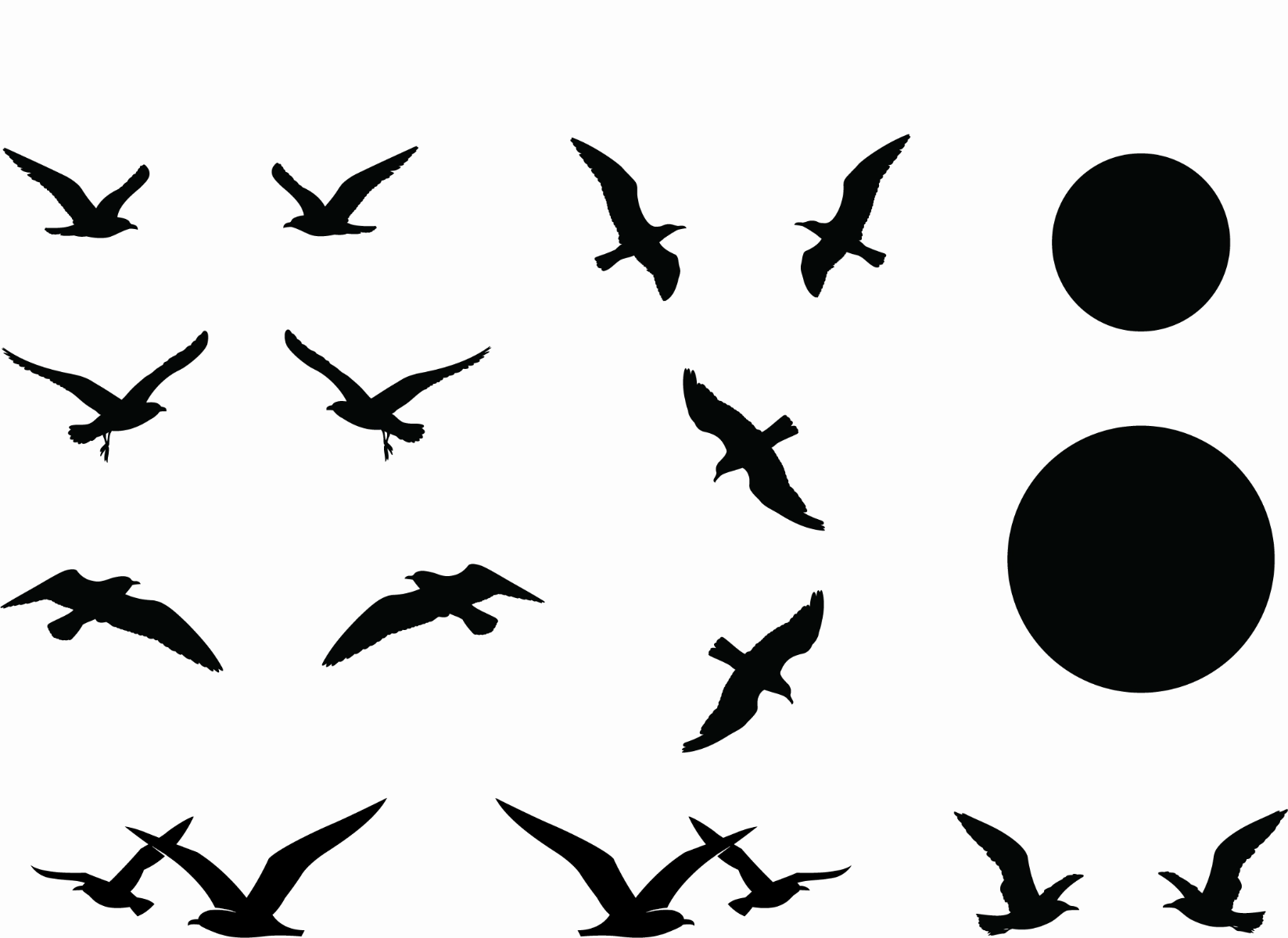 Simple Screen 2.0 Birds, Suns & Moons Essential Simple Screen™