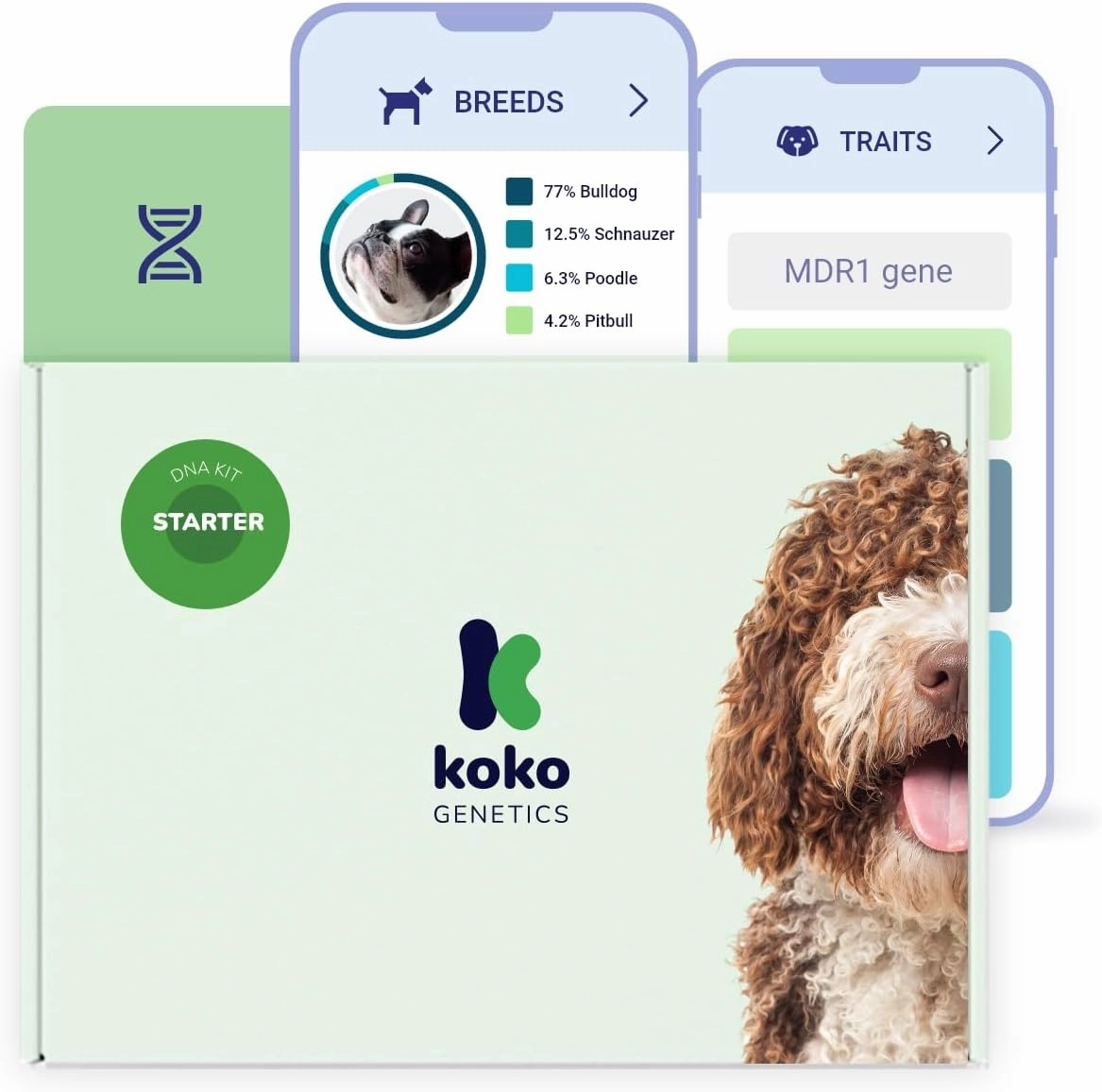 Starter DNA Test for Dogs, Analyzes & Identifies 400  Breeds and Offers 25  Genetic Traits and Ancestry Reports, Lifetime Updates Included