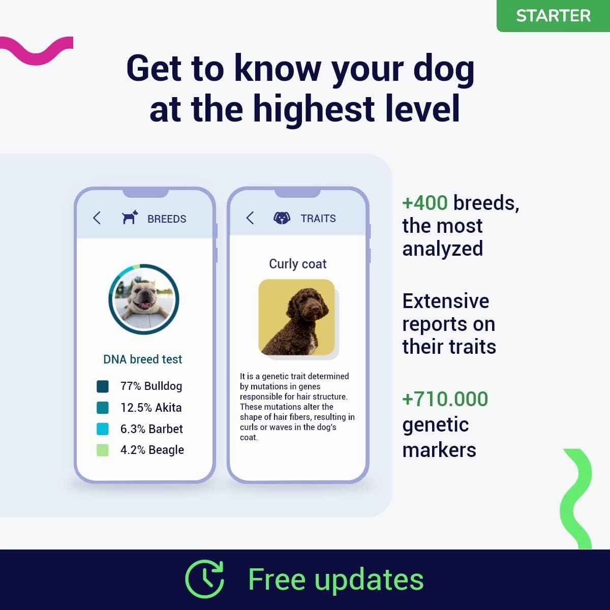 Starter DNA Test for Dogs, Analyzes & Identifies 400  Breeds and Offers 25  Genetic Traits and Ancestry Reports, Lifetime Updates Included