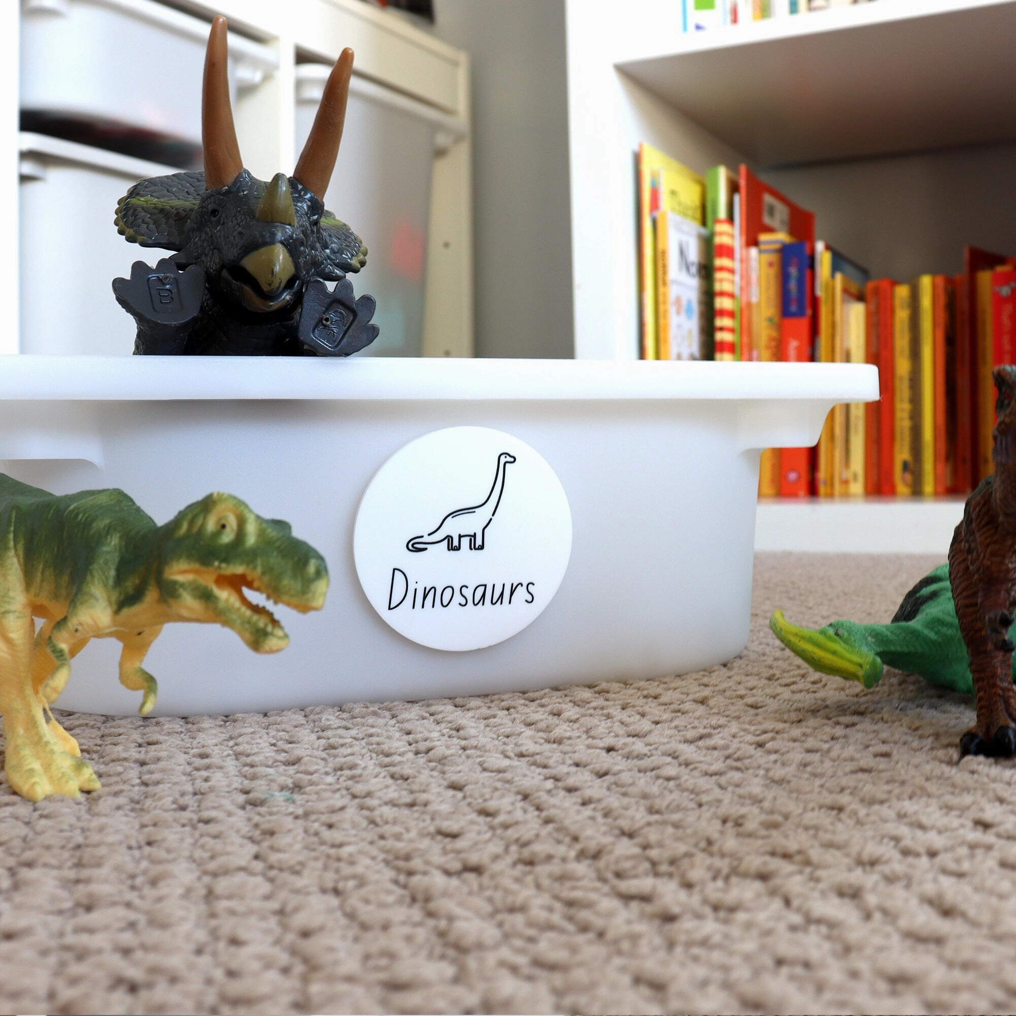 Toy Storage Labels with Illustrations for Ikea Trofast - Acrylic Black and White