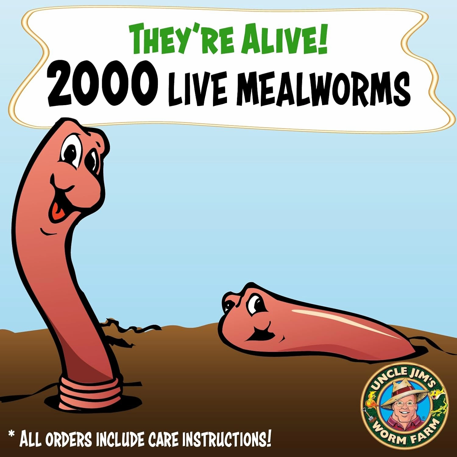 Uncle Jim's Worm Farm 2000 Count Mealworms for Reptiles and Chickens | Mealworms for Feeding Lizard, Gecko, Bearded Dragons, Chickens, Birds, and More | Suitable for Fishing Bait