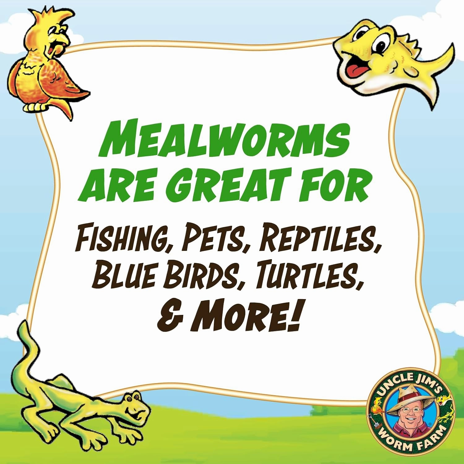 Uncle Jim's Worm Farm 5000 Count Mealworms for Reptiles and Chickens | Mealworms for Feeding Lizard, Gecko, Bearded Dragons, Chickens, Birds, and More | Suitable for Fishing Bait
