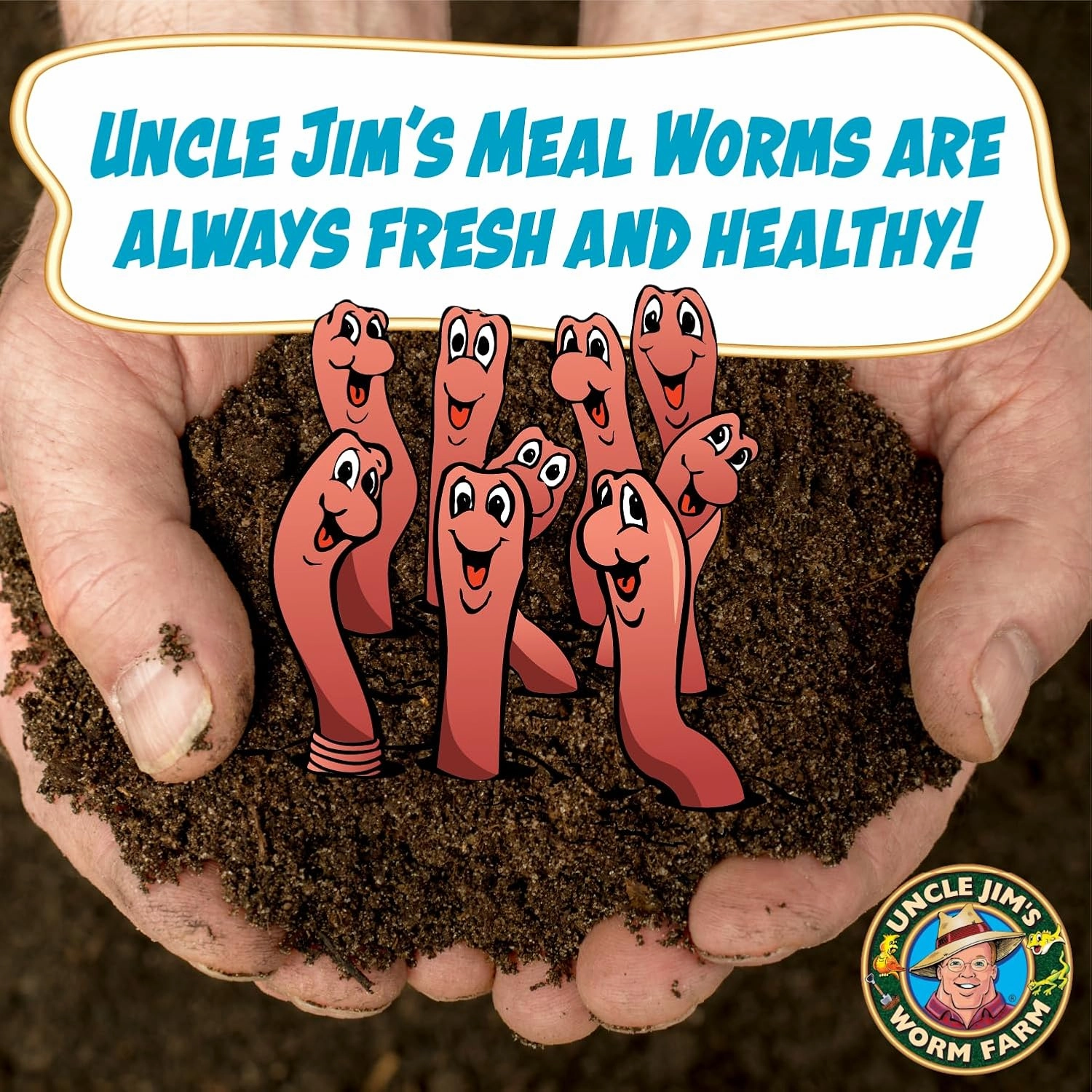 Uncle Jim's Worm Farm 5000 Count Mealworms for Reptiles and Chickens | Mealworms for Feeding Lizard, Gecko, Bearded Dragons, Chickens, Birds, and More | Suitable for Fishing Bait