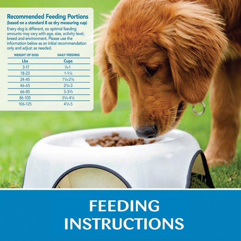 Wellness Simple Limited Ingredient Dry Dog Food for Sensitive Stomachs, Supports Skin & Coat, Small Breed, Grain-Free, Natural, Salmon & Potato Recipe, (10.5-Pound Bag)