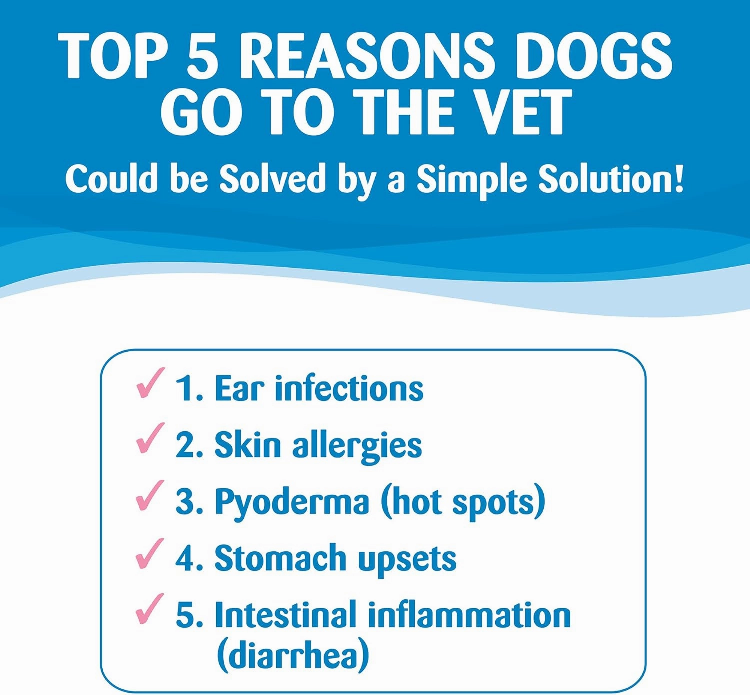 Wellness Simple Limited Ingredient Dry Dog Food for Sensitive Stomachs, Supports Skin & Coat, Small Breed, Grain-Free, Natural, Salmon & Potato Recipe, (10.5-Pound Bag)