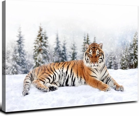 Wild Animals Canvas Wall Art Tigers Photography Posters Office White Snow Landscape Decor Wilderness Pictures Misty Pine Trees Panorama Artwork for Living Room Bedroom Modern Home Decorations 16x24"
